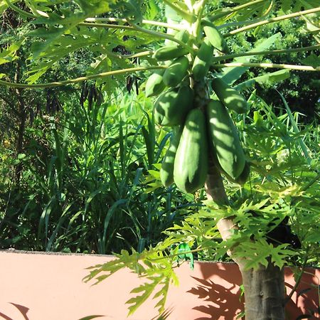 Appartement T1 Bis Joli Cocoon Saint-Benoît 外观 照片